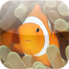 Mer Rouge – Pikilabs